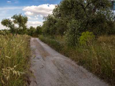 Lasciamo alla nostra destra l�edificio per addentrarci su un sentiero di campagna delimitato da muretti a secco